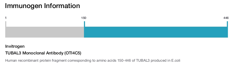 TUBAL3 Monoclonal Antibody (OTI4C5)