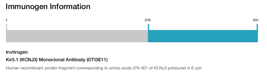 Kir3.1 (KCNJ3) Monoclonal Antibody (OTI3E11)