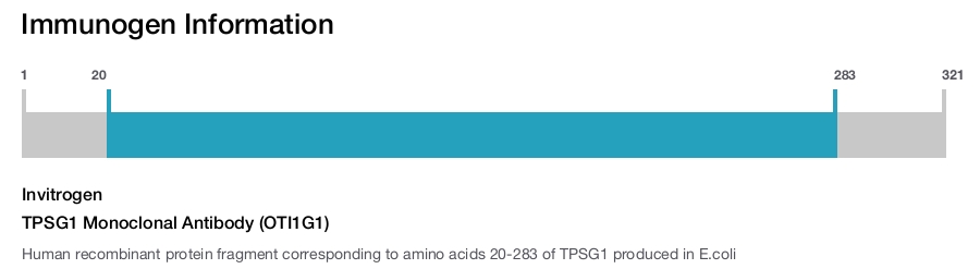 TPSG1 Monoclonal Antibody (OTI1G1)