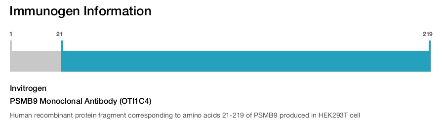 PSMB9 Monoclonal Antibody (OTI1C4)