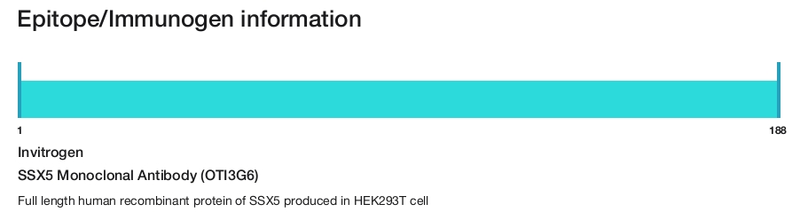 SSX5 Monoclonal Antibody (OTI3G6)