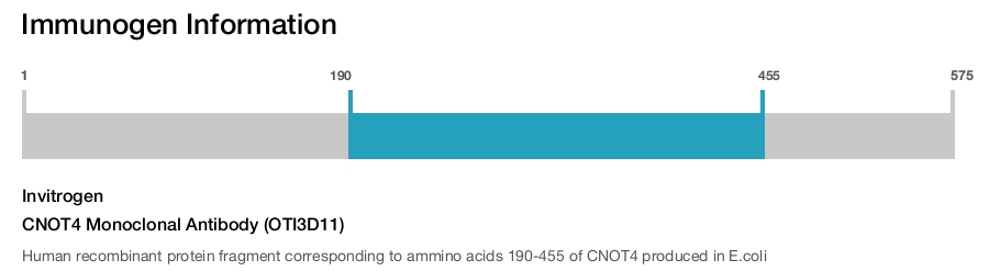 CNOT4 Monoclonal Antibody (OTI3D11)