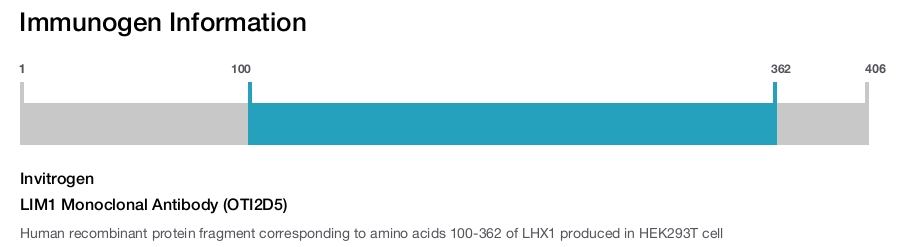 LIM1 Monoclonal Antibody (OTI2D5)
