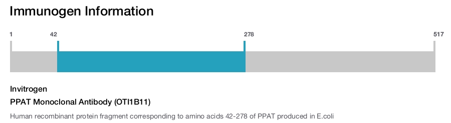 PPAT Monoclonal Antibody (OTI1B11)