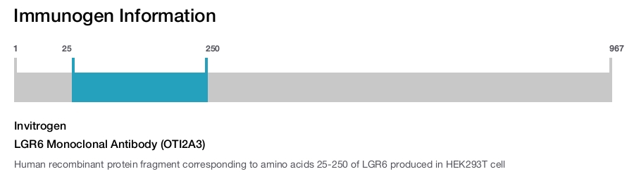 LGR6 Monoclonal Antibody (OTI2A3)