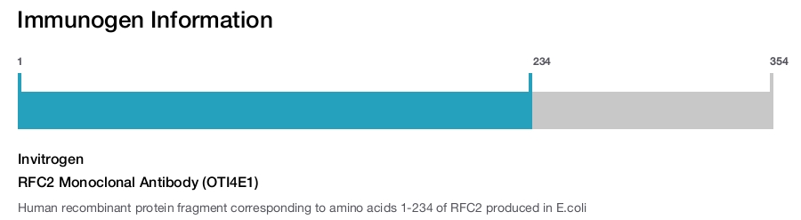 RFC2 Monoclonal Antibody (OTI4E1)