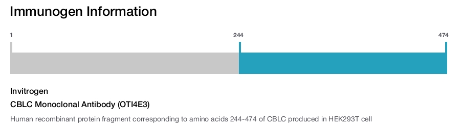 CBLC Monoclonal Antibody (OTI4E3)