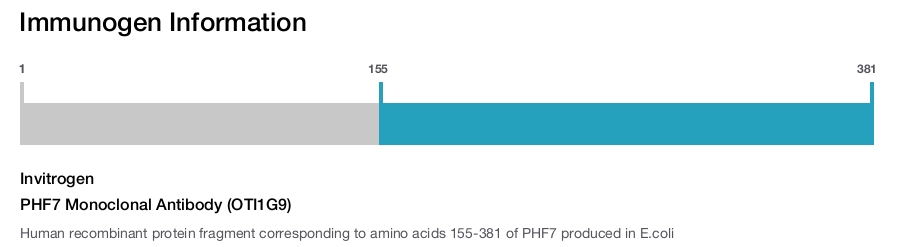 PHF7 Monoclonal Antibody (OTI1G9)