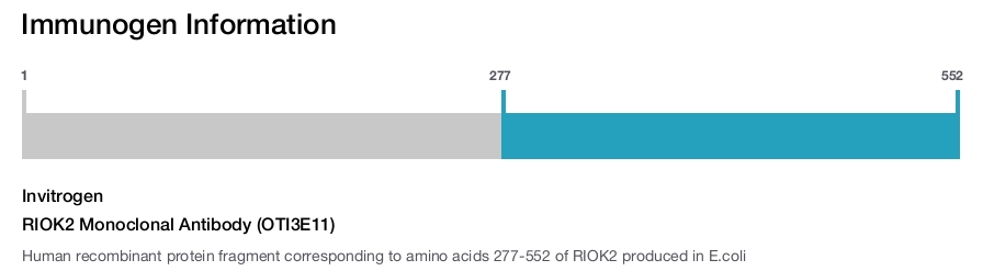 RIOK2 Monoclonal Antibody (OTI3E11)