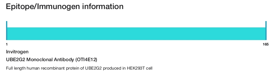 UBE2G2 Monoclonal Antibody (OTI4E12)