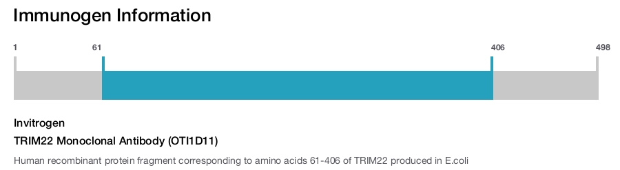 TRIM22 Monoclonal Antibody (OTI1D11)