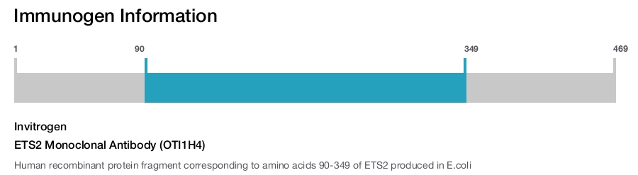 ETS2 Monoclonal Antibody (OTI1H4)