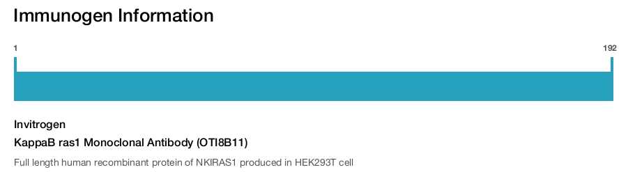 KappaB ras1 Monoclonal Antibody (OTI8B11)