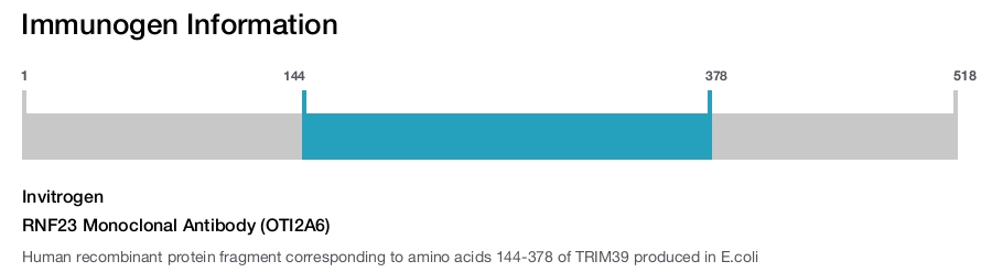RNF23 Monoclonal Antibody (OTI2A6)