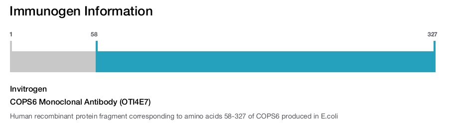 COPS6 Monoclonal Antibody (OTI4E7)