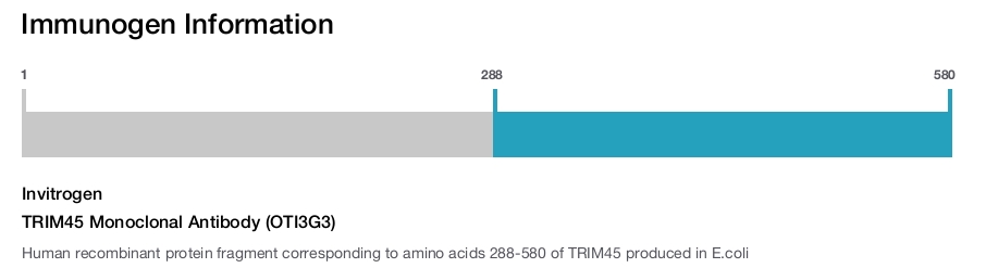 TRIM45 Monoclonal Antibody (OTI3G3)