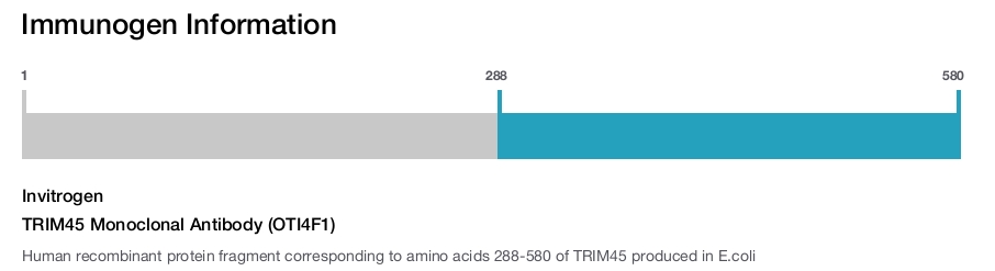 TRIM45 Monoclonal Antibody (OTI4F1)