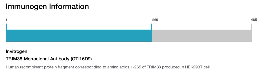 TRIM38 Monoclonal Antibody (OTI16D9)