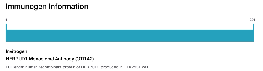 HERPUD1 Monoclonal Antibody (OTI1A2)