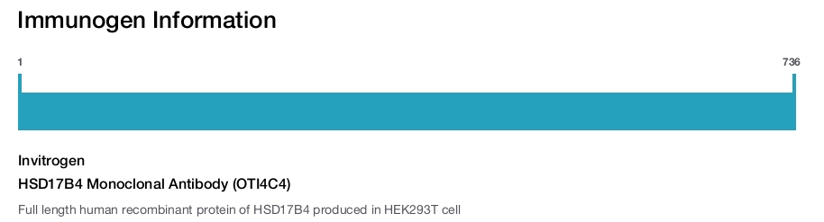 HSD17B4 Monoclonal Antibody (OTI4C4)