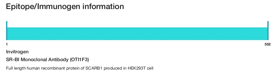 SR-BI Monoclonal Antibody (OTI1F3)