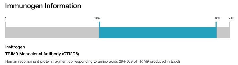 TRIM9 Monoclonal Antibody (OTI2D6)
