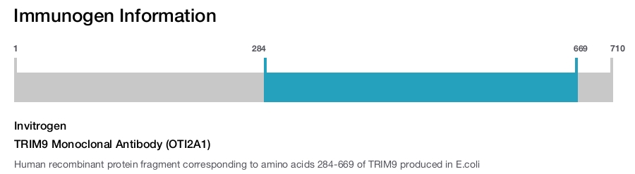 TRIM9 Monoclonal Antibody (OTI2A1)