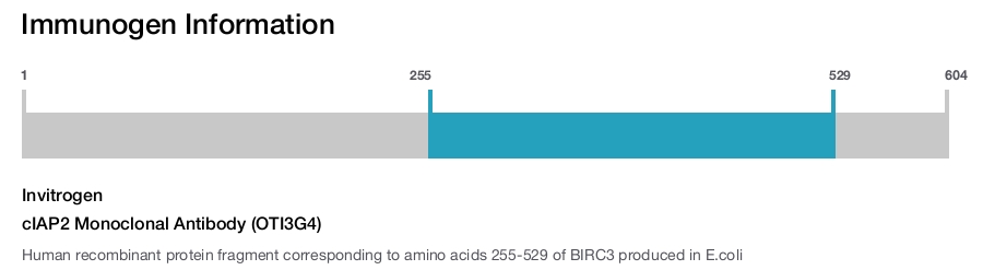 cIAP2 Monoclonal Antibody (OTI3G4)