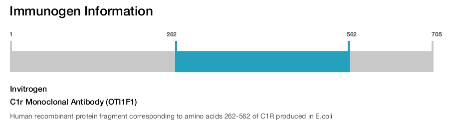 C1r Monoclonal Antibody (OTI1F1)