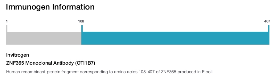 ZNF365 Monoclonal Antibody (OTI1B7)