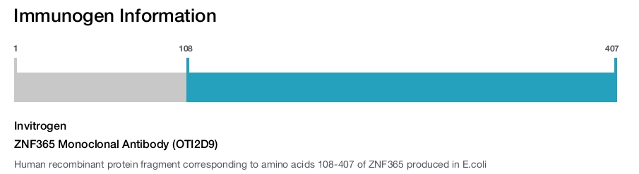 ZNF365 Monoclonal Antibody (OTI2D9)