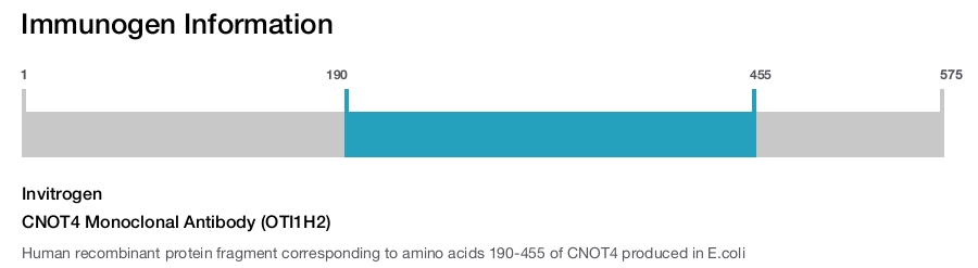 CNOT4 Monoclonal Antibody (OTI1H2)