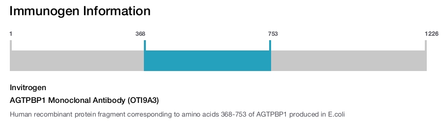 AGTPBP1 Monoclonal Antibody (OTI9A3)