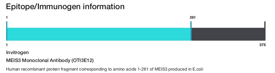 MEIS3 Monoclonal Antibody (OTI3E12)