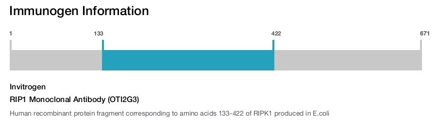 RIP1 Monoclonal Antibody (OTI2G3)