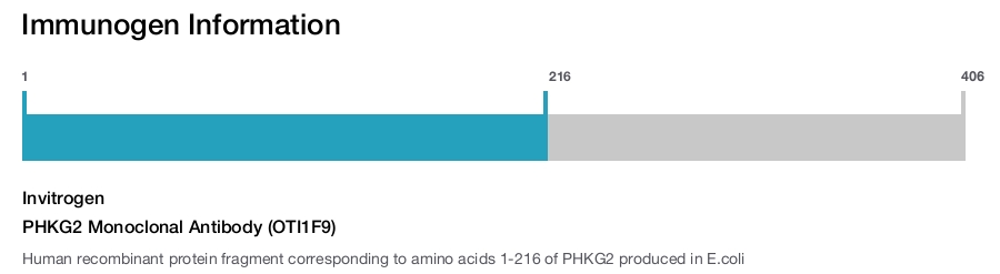 PHKG2 Monoclonal Antibody (OTI1F9)