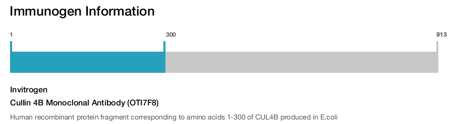 Cullin 4B Monoclonal Antibody (OTI7F8)