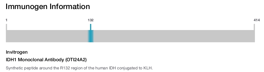 IDH1 Monoclonal Antibody (OTI24A2)