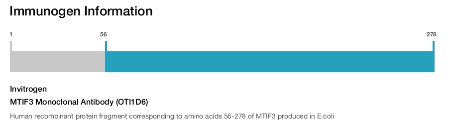 MTIF3 Monoclonal Antibody (OTI1D6)