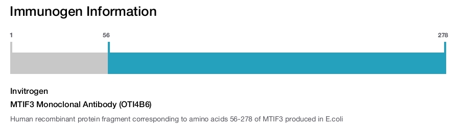 MTIF3 Monoclonal Antibody (OTI4B6)