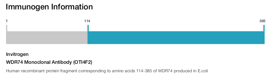 WDR74 Monoclonal Antibody (OTI4F2)