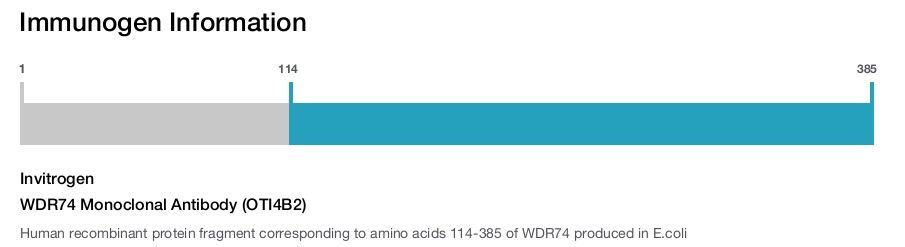 WDR74 Monoclonal Antibody (OTI4B2)
