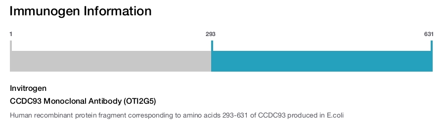 CCDC93 Monoclonal Antibody (OTI2G5)