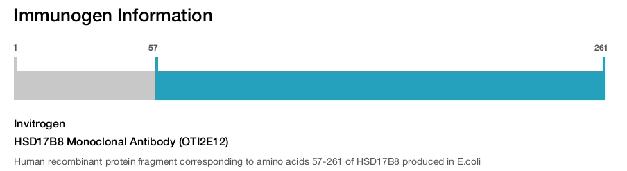 HSD17B8 Monoclonal Antibody (OTI2E12)