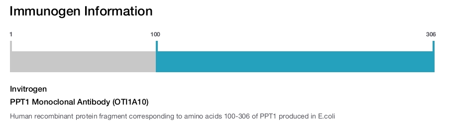 PPT1 Monoclonal Antibody (OTI1A10)