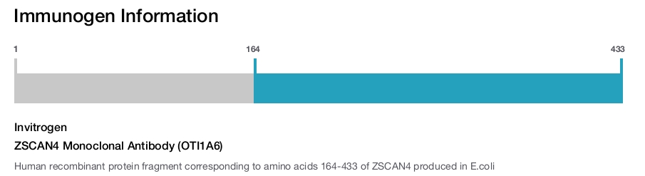 ZSCAN4 Monoclonal Antibody (OTI1A6)