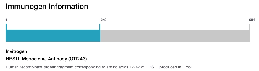 HBS1L Monoclonal Antibody (OTI2A3)