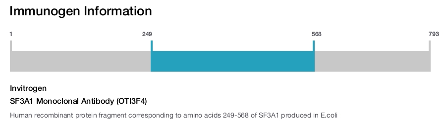 SF3A1 Monoclonal Antibody (OTI3F4)