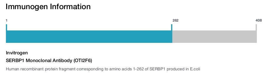 SERBP1 Monoclonal Antibody (OTI2F6)