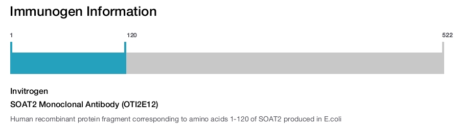 SOAT2 Monoclonal Antibody (OTI2E12)